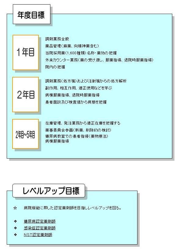 キャリアアッププラン - 牛久愛和総合病院薬剤センター